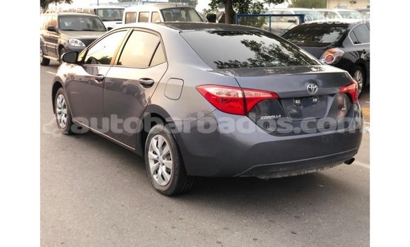 Buy Import Toyota Corolla Other Car in Import - Dubai in Barbados Buy Import Toyota Corolla Other Car in Import - Dubai in Barbados