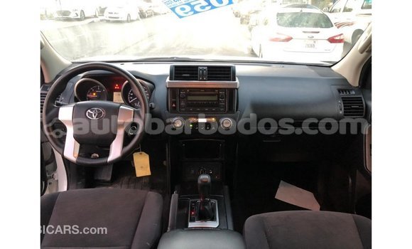 Buy Import Toyota Prado White Car in Import - Dubai in Barbados Buy Import Toyota Prado White Car in Import - Dubai in Barbados