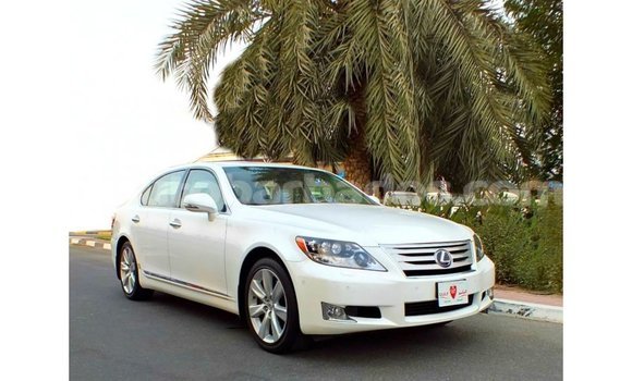 Buy Import Lexus LS White Car in Import - Dubai in Barbados