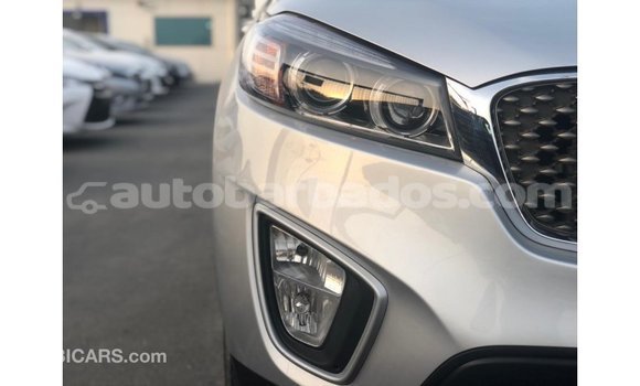Buy Import Kia Sorento Other Car in Import - Dubai in Barbados Buy Import Kia Sorento Other Car in Import - Dubai in Barbados