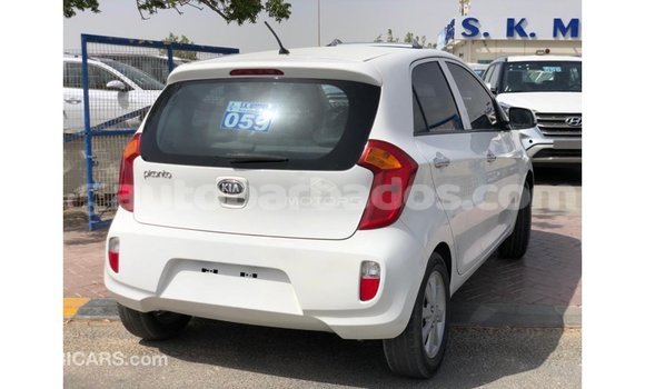 Buy Import Kia Picanto White Car in Import - Dubai in Barbados Buy Import Kia Picanto White Car in Import - Dubai in Barbados