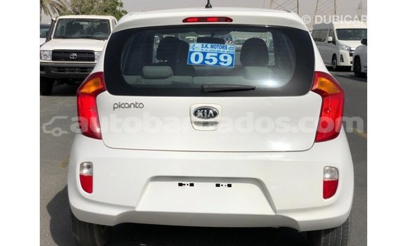 Buy Import Kia Picanto White Car in Import - Dubai in Barbados Buy Import Kia Picanto White Car in Import - Dubai in Barbados