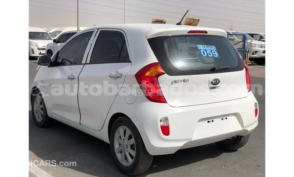 Buy Import Kia Picanto White Car in Import - Dubai in Barbados Buy Import Kia Picanto White Car in Import - Dubai in Barbados