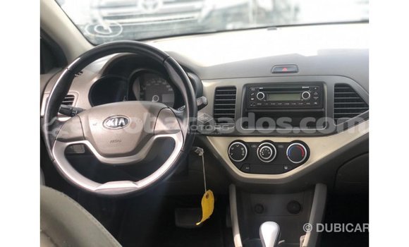 Buy Import Kia Picanto White Car in Import - Dubai in Barbados Buy Import Kia Picanto White Car in Import - Dubai in Barbados