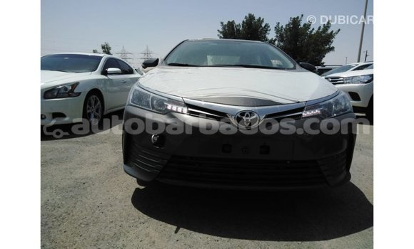 Buy Import Toyota Corolla Other Car in Import - Dubai in Barbados Buy Import Toyota Corolla Other Car in Import - Dubai in Barbados