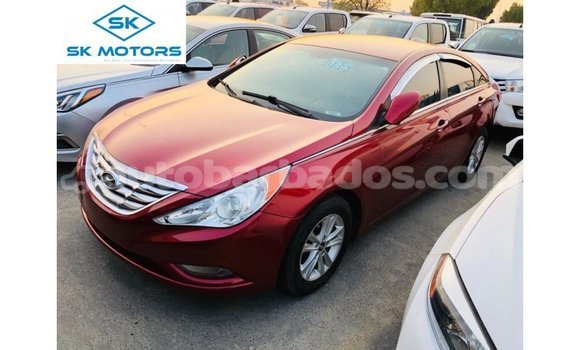 Buy Import Hyundai Sonata Red Car in Import - Dubai in Barbados