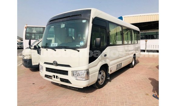 Buy Import Toyota Coaster White Car in Import - Dubai in Barbados