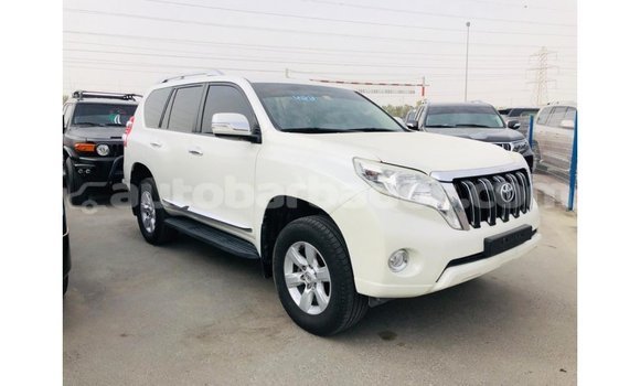 Buy Import Toyota Prado White Car in Import - Dubai in Barbados