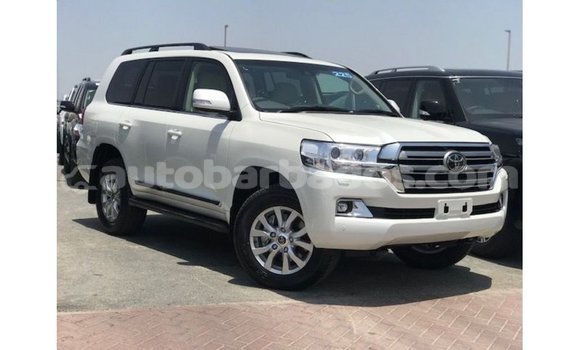 Buy Import Toyota Land Cruiser White Car in Import - Dubai in Barbados