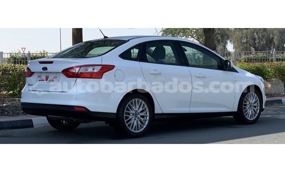 Buy Import Ford Focus White Car in Import - Dubai in Barbados Buy Import Ford Focus White Car in Import - Dubai in Barbados