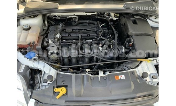 Buy Import Ford Focus White Car in Import - Dubai in Barbados Buy Import Ford Focus White Car in Import - Dubai in Barbados