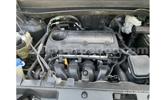 Buy Import Kia Sportage Black Car in Import - Dubai in Barbados Buy Import Kia Sportage Black Car in Import - Dubai in Barbados