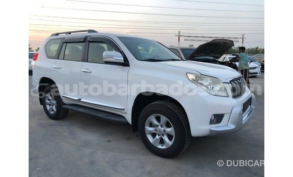 Buy Import Toyota Prado White Car in Import - Dubai in Barbados Buy Import Toyota Prado White Car in Import - Dubai in Barbados