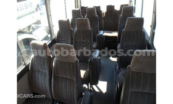 Buy Import Toyota Coaster White Car in Import - Dubai in Barbados Buy Import Toyota Coaster White Car in Import - Dubai in Barbados