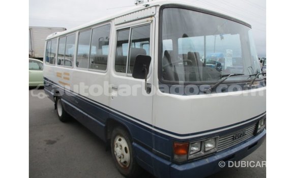Buy Import Toyota Coaster White Car in Import - Dubai in Barbados Buy Import Toyota Coaster White Car in Import - Dubai in Barbados
