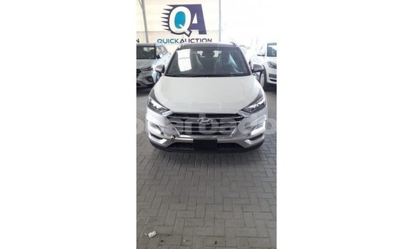 Buy Import Hyundai Tucson Other Car in Import - Dubai in Barbados
