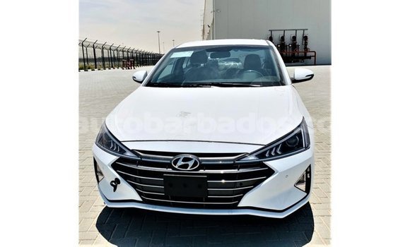 Buy Import Hyundai Elantra White Car in Import - Dubai in Barbados