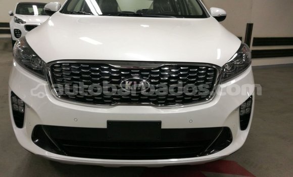 Buy Import Kia Sorento White Car in Import - Dubai in Barbados