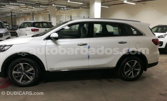 Buy Import Kia Sorento White Car in Import - Dubai in Barbados Buy Import Kia Sorento White Car in Import - Dubai in Barbados