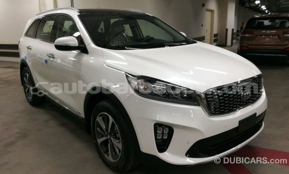 Buy Import Kia Sorento White Car in Import - Dubai in Barbados Buy Import Kia Sorento White Car in Import - Dubai in Barbados