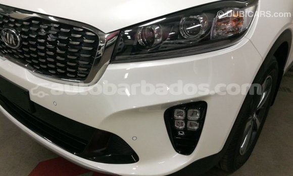 Buy Import Kia Sorento White Car in Import - Dubai in Barbados Buy Import Kia Sorento White Car in Import - Dubai in Barbados