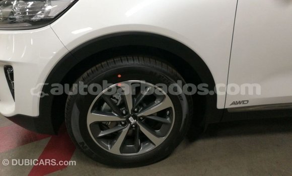Buy Import Kia Sorento White Car in Import - Dubai in Barbados Buy Import Kia Sorento White Car in Import - Dubai in Barbados