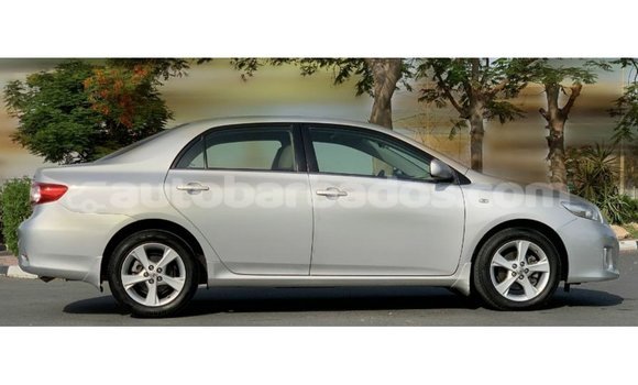 Buy Import Toyota Corolla Other Car in Import - Dubai in Barbados Buy Import Toyota Corolla Other Car in Import - Dubai in Barbados