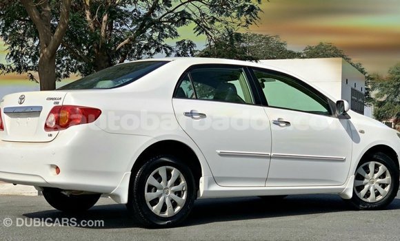 Buy Import Toyota Corolla White Car in Import - Dubai in Barbados Buy Import Toyota Corolla White Car in Import - Dubai in Barbados
