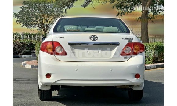 Buy Import Toyota Corolla White Car in Import - Dubai in Barbados Buy Import Toyota Corolla White Car in Import - Dubai in Barbados