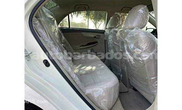 Buy Import Toyota Corolla White Car in Import - Dubai in Barbados Buy Import Toyota Corolla White Car in Import - Dubai in Barbados