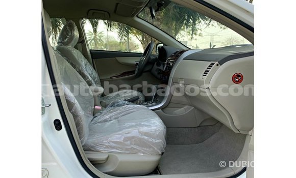 Buy Import Toyota Corolla White Car in Import - Dubai in Barbados Buy Import Toyota Corolla White Car in Import - Dubai in Barbados