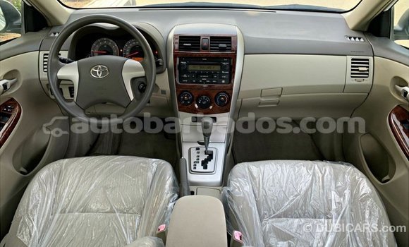 Buy Import Toyota Corolla White Car in Import - Dubai in Barbados Buy Import Toyota Corolla White Car in Import - Dubai in Barbados