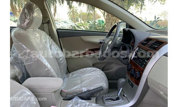 Buy Import Toyota Corolla White Car in Import - Dubai in Barbados Buy Import Toyota Corolla White Car in Import - Dubai in Barbados