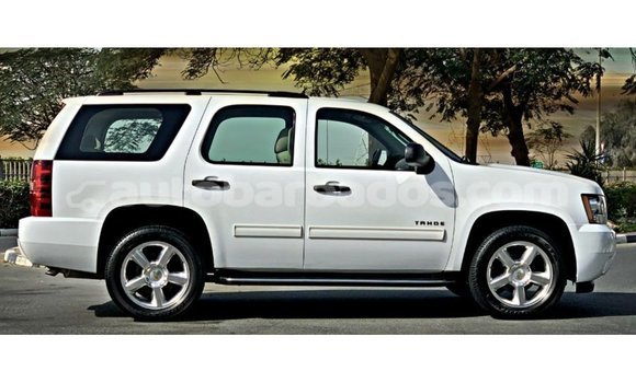 Buy Import Chevrolet Tahoe White Car in Import - Dubai in Barbados Buy Import Chevrolet Tahoe White Car in Import - Dubai in Barbados