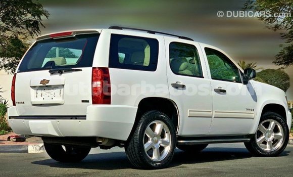Buy Import Chevrolet Tahoe White Car in Import - Dubai in Barbados Buy Import Chevrolet Tahoe White Car in Import - Dubai in Barbados
