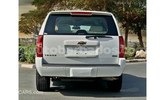 Buy Import Chevrolet Tahoe White Car in Import - Dubai in Barbados Buy Import Chevrolet Tahoe White Car in Import - Dubai in Barbados