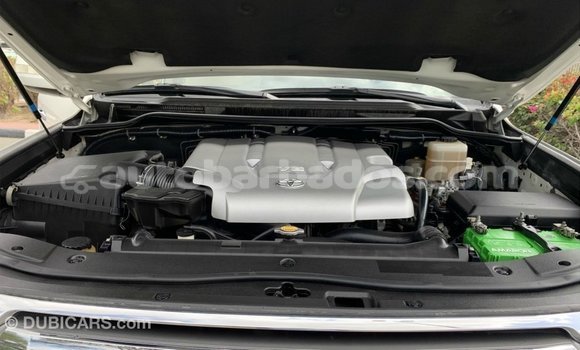 Buy Import Toyota Land Cruiser White Car in Import - Dubai in Barbados Buy Import Toyota Land Cruiser White Car in Import - Dubai in Barbados