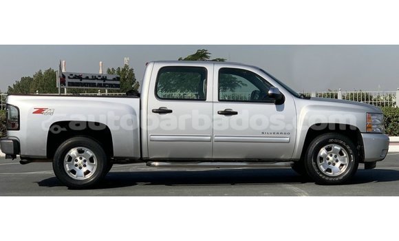 Buy Import Chevrolet Silverado Other Car in Import - Dubai in Barbados Buy Import Chevrolet Silverado Other Car in Import - Dubai in Barbados