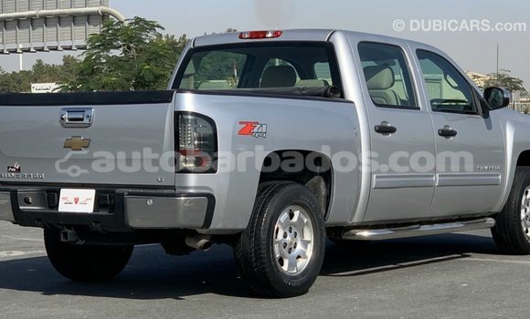 Buy Import Chevrolet Silverado Other Car in Import - Dubai in Barbados Buy Import Chevrolet Silverado Other Car in Import - Dubai in Barbados