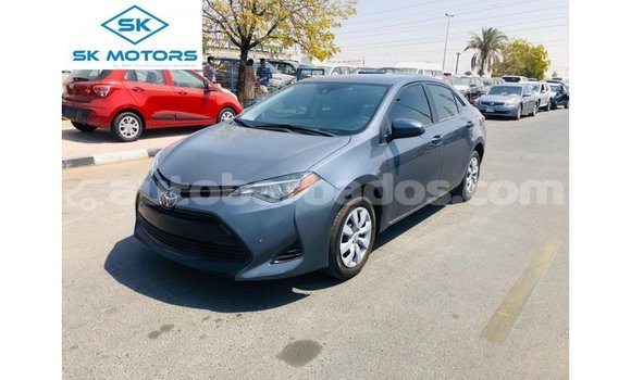 Buy Import Toyota Corolla Other Car in Import - Dubai in Barbados Buy Import Toyota Corolla Other Car in Import - Dubai in Barbados
