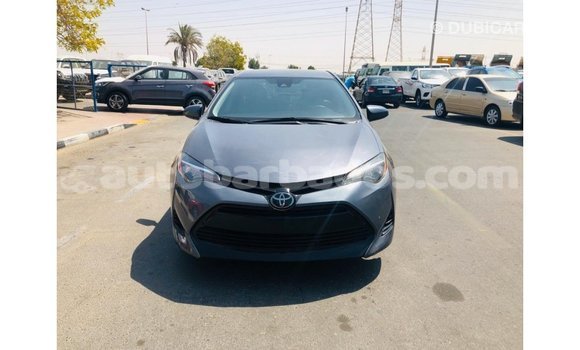 Buy Import Toyota Corolla Other Car in Import - Dubai in Barbados Buy Import Toyota Corolla Other Car in Import - Dubai in Barbados