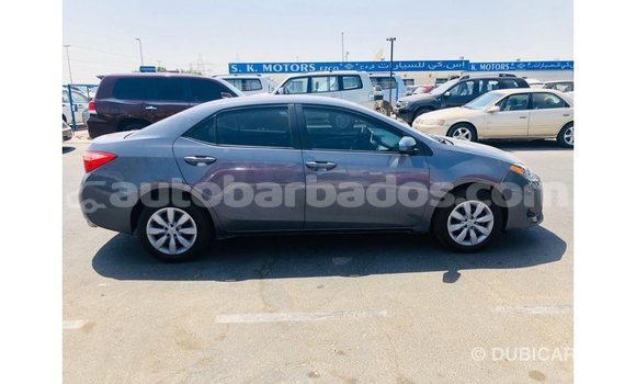 Buy Import Toyota Corolla Other Car in Import - Dubai in Barbados Buy Import Toyota Corolla Other Car in Import - Dubai in Barbados