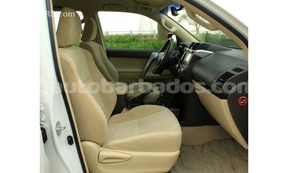 Buy Import Toyota Prado White Car in Import - Dubai in Barbados Buy Import Toyota Prado White Car in Import - Dubai in Barbados