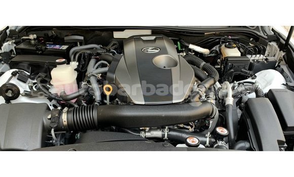Buy Import Lexus IS White Car in Import - Dubai in Barbados Buy Import Lexus IS White Car in Import - Dubai in Barbados