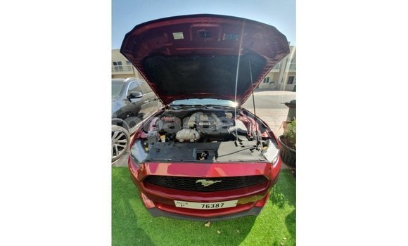 Buy Import Ford Mustang Red Car in Import - Dubai in Barbados Buy Import Ford Mustang Red Car in Import - Dubai in Barbados