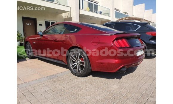 Buy Import Ford Mustang Red Car in Import - Dubai in Barbados Buy Import Ford Mustang Red Car in Import - Dubai in Barbados