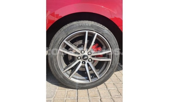 Buy Import Ford Mustang Red Car in Import - Dubai in Barbados Buy Import Ford Mustang Red Car in Import - Dubai in Barbados