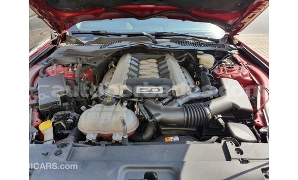 Buy Import Ford Mustang Red Car in Import - Dubai in Barbados Buy Import Ford Mustang Red Car in Import - Dubai in Barbados