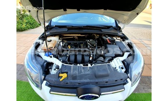 Buy Import Ford Focus White Car in Import - Dubai in Barbados Buy Import Ford Focus White Car in Import - Dubai in Barbados