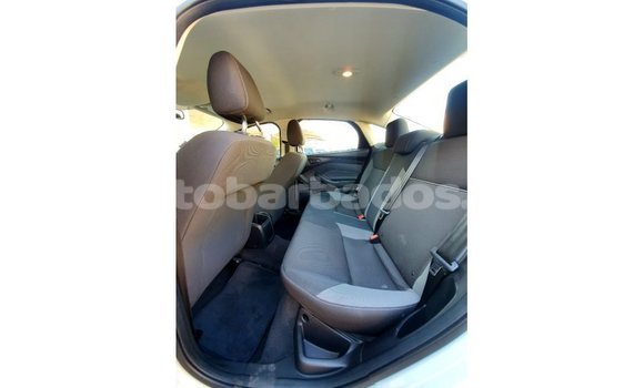 Buy Import Ford Focus White Car in Import - Dubai in Barbados Buy Import Ford Focus White Car in Import - Dubai in Barbados